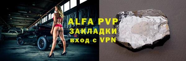 индика Верхний Тагил