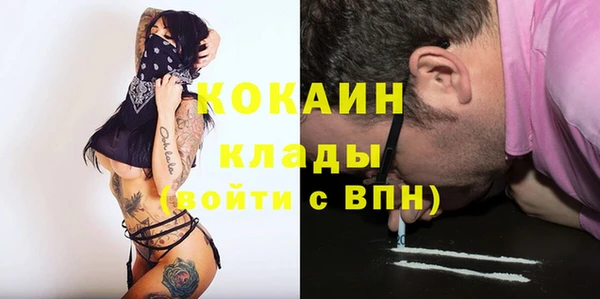 индика Верхний Тагил