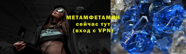 индика Верхний Тагил