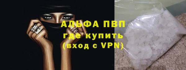 индика Верхний Тагил