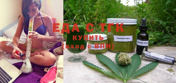 индика Верхний Тагил