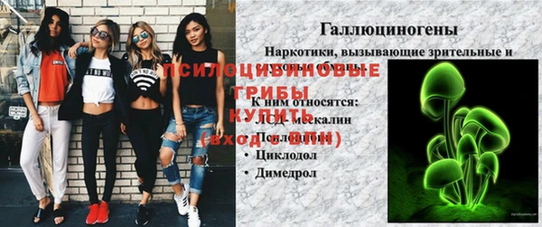 индика Верхний Тагил