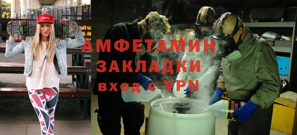 индика Верхний Тагил