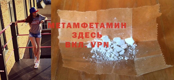 индика Верхний Тагил