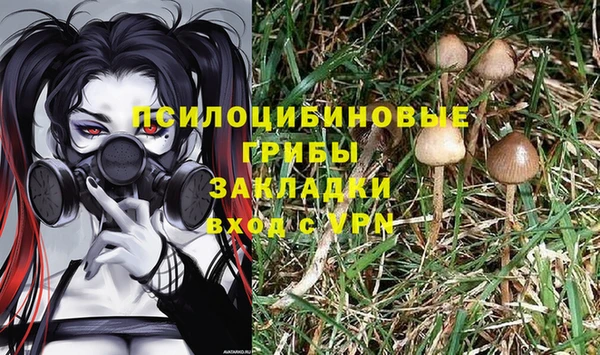 2c-b Верея
