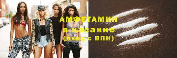 индика Верхний Тагил