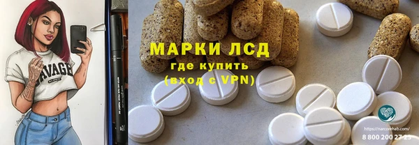 индика Верхний Тагил