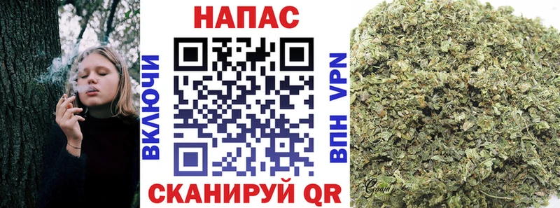 Каннабис конопля  Полтавская 